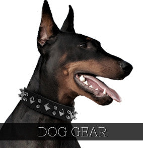 Rad Dog Gear