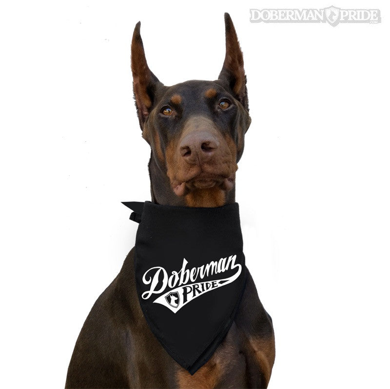 Doberman bandana best sale
