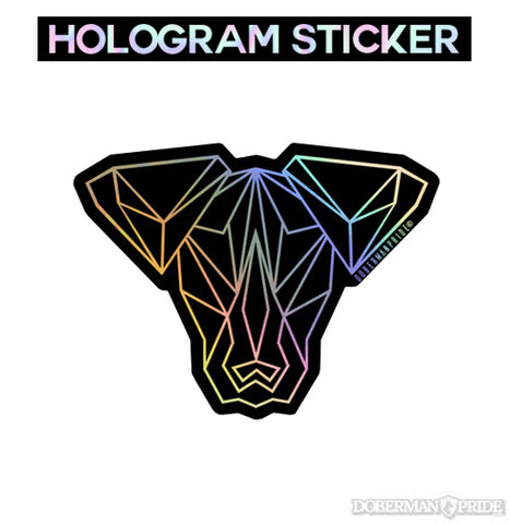 Holographic Kryptonite - Floppy